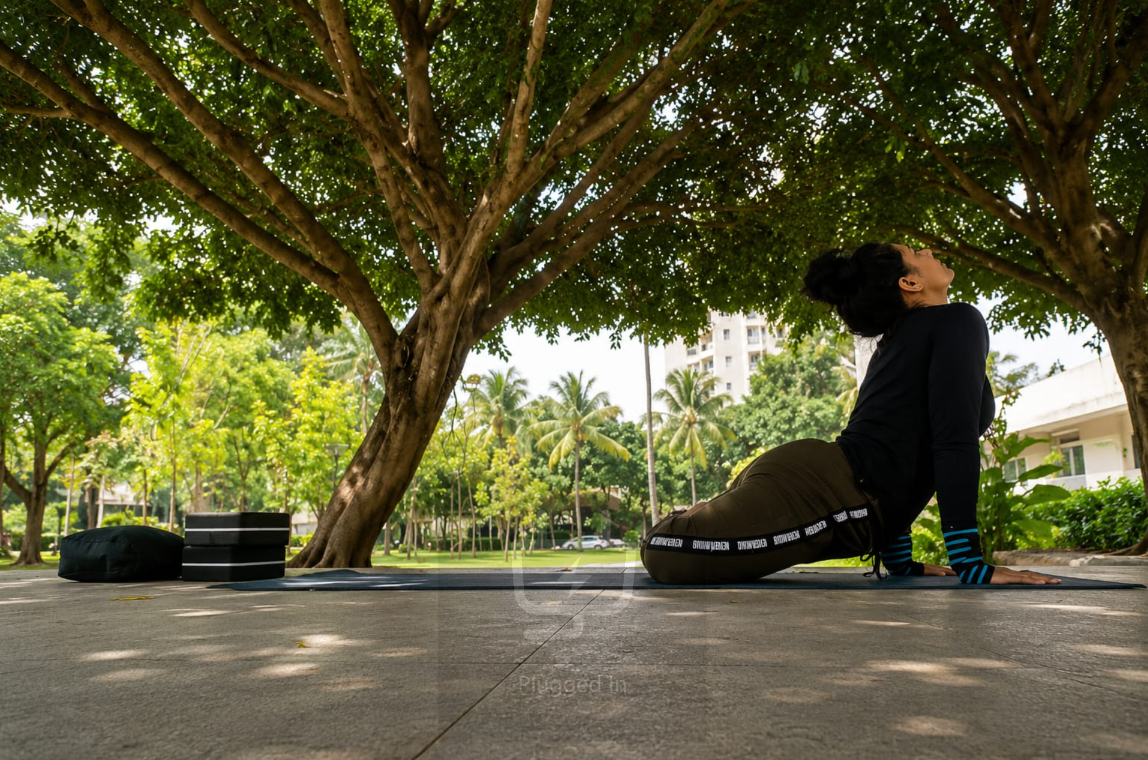 Meditation & Mindfulness